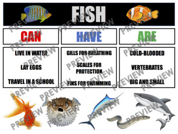 Preview of FISH Anchor Chart