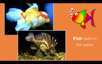 Preview of FISH: Animated Keynote/PPT Presentation, Colorful Science: