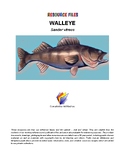 FISH - WALLEYE RESOURCE FILE