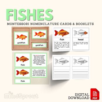 Preview of FISH Zoology Unit Study Parts of Fishes Montessori Nomenclature Cards Booklet