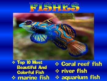 Preview of Fish - PowerPoint presentation - Coral reef - Marine and River fish