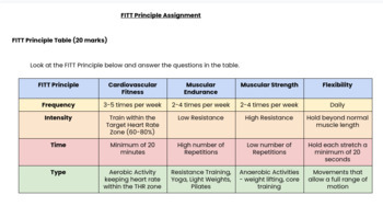 FITT Principle Assignment by Ontario High School Resources | TPT