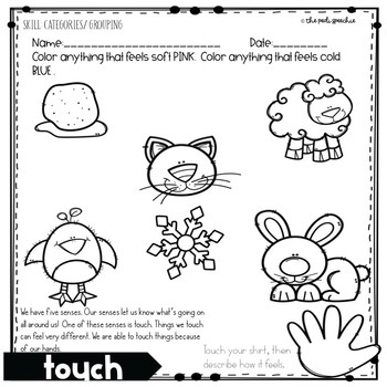 five senses activities five senses worksheets by the pedi speechie