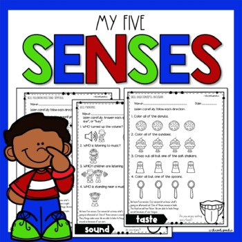 special senses assignment sheet answer key