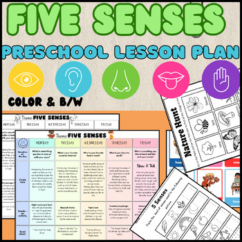 FIVE SENSES- Weekly Preschool Lesson Plan by PavlyStyle | TPT