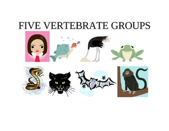 Preview of FIVE VERTEBRATE GROUPS