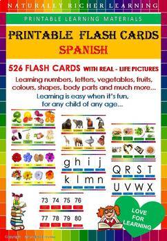 Preview of FLASH CARDS SPANISH VOCABULARY