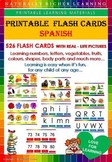 FLASH CARDS SPANISH VOCABULARY
