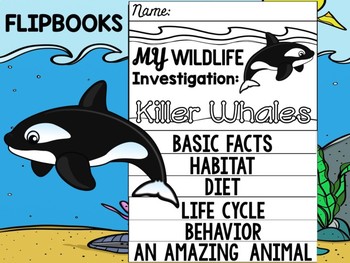 Preview of FLIP BOOK Set : Killer Whales - Sea Ocean Animals : Research, Report, Whale