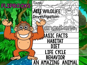 Preview of FLIP BOOK Set : Orangutans - Rainforest Animals: Research, Animal Report