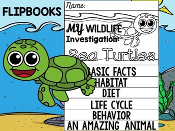 Preview of FLIP BOOK Set : Sea Turtles - Sea Ocean Animals : Research, Report, Turtle