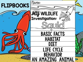 Preview of FLIP BOOK Set : Squid - Sea Ocean Animals : Research, Report, Mollusks