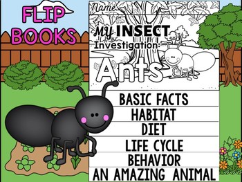 Preview of FLIP BOOK SET : Ants - Insects : Research, Report, Bugs, Life Cycle