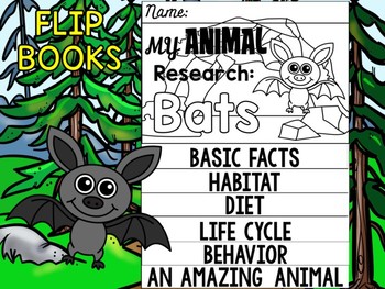 Preview of FLIPBOOK Bundle : Bats - Forest Animals : Research, Report, Woodland