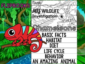 Preview of FLIPBOOK Set : Chameleons - Rainforest Animals: Research, Report, rain forest