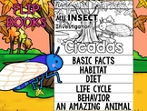 FLIP BOOK SET : Cicadas - Insects : Research, Report, Bugs
