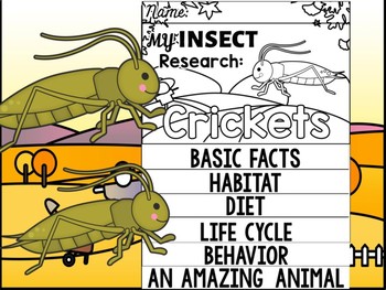 Preview of FLIP BOOK SET : Crickets - Insects : Research, Report, Bugs, Life Cycle