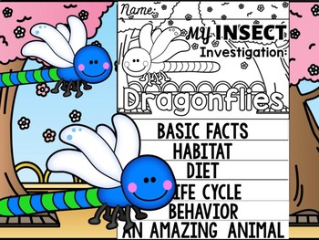 Preview of FLIP BOOK SET : Dragonflies - Insects : Research, Report, Bugs, Life Cycle