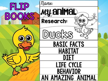 Preview of FLIPBOOK Set : Ducks - Farm Animals : Research, Report, Duck