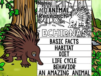 Preview of FLIPBOOK SET : Echidnas - Australian Animals : Research, Report, Unit Study