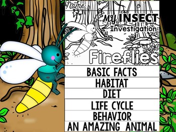 Preview of FLIP BOOK SET : Fireflies - Insects : Research, Report, Bugs, Life Cycle