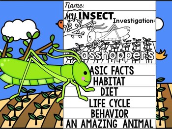 Preview of FLIP BOOK SET : Grasshoppers - Insects : Research, Report, Bugs, Life Cycle