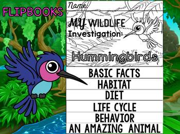 Preview of FLIPBOOK Set : Hummingbirds - Rainforest Animals: Research, Animal Report