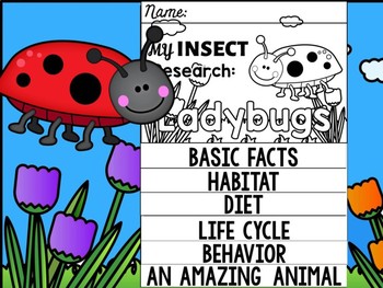 Preview of FLIP BOOK SET : Ladybugs - Insects : Research, Report, Bugs, Life Cycle