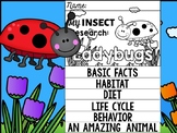 FLIP BOOK SET : Ladybugs - Insects : Research, Report, Bug