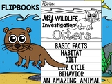 FLIPBOOK Set : Otters - Sea Ocean Animals : Research, Repo