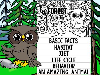 Preview of FLIPBOOK Bundle : Owls - Forest Animals : Research, Report, Woodland