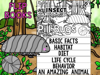 Preview of FLIP BOOK SET : Pill Bugs - Insects Crustaceans : Research, Report, Life Cycle