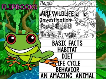 Preview of FLIPBOOK Set : Red Eyed Tree Frogs - Rain forest Animals: Research, Report