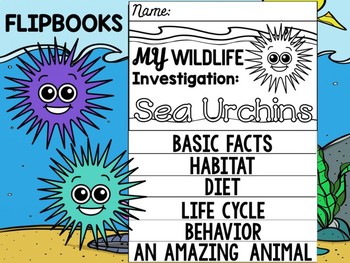 Preview of FLIP BOOK Set : Sea Urchins - Sea Ocean Animals : Research, Report, Animal