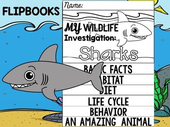 Preview of FLIP BOOK Set : Sharks - Sea Ocean Animals : Research, Report, Animal