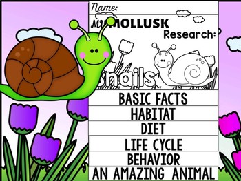 Preview of FLIP BOOK SET : Snails - Mollusks : Research, Gastropod, Unit Study