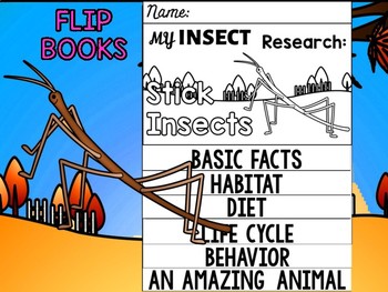 Preview of FLIP BOOK SET : Stick Insects : Research, Report, Unit Study