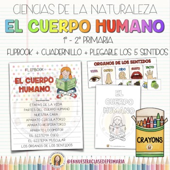 Preview of FLIPBOOK + CUADERNILLO EL CUERPO HUMANO  PRIMER CICLO