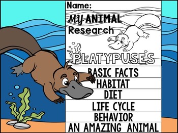 Preview of FLIPBOOK SET : Platypuses - Australian Animals : Research, Report, Platypus