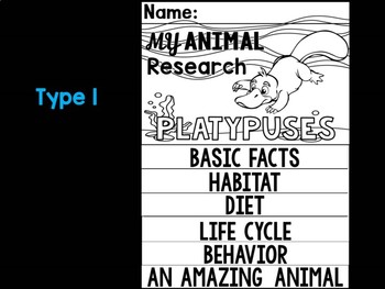 Реферат: The Platypus Essay Research Paper The platypus