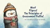 FLIPRCS- the 7 PRINCIPLES of Government Puffin- an engagin