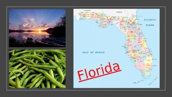 Preview of FLORIDA - fun facts/trivia!!