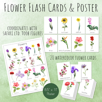 Preview of FLOWER Flash Cards and Poster, Printable, Safari Ltd Flower Toob Montessori Card