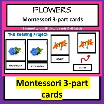 Preview of FLOWERS  Montessori 3-part cards with real photographs