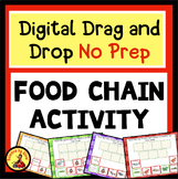 CREATE FOREST FOOD CHAINS DRAG AND DROP Digital Interactiv