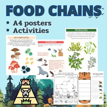 Preview of FOOD CHAIN poster and fun activities for elementary, grade 1,2,3