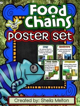 Preview of FOOD CHAINS Poster Set / Student Vocabulary Book