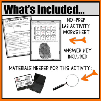 Forensic Anthropology Review Puzzle Activity ⋆ The Trendy Science Teacher