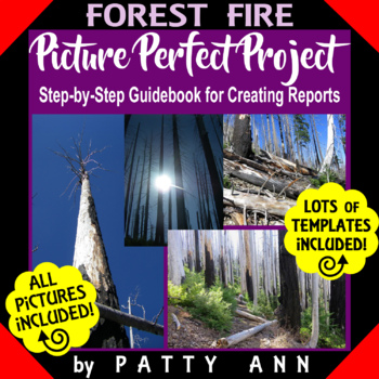 Preview of Research Project Based Learning Forest Fire Presentation and Report Templates
