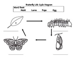 FOSS Notebook Resources for Insect and Rocks Units